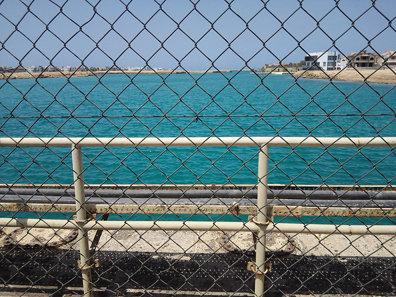 钢丝网：金属材质的 “多功能防护能手”